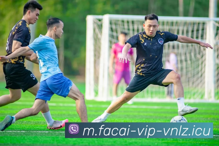 九游体育APP 封面图